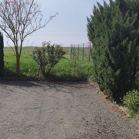Gite La Metairie, Au Calme A La Campagne Villa Saint-Seurin-de-Palenne Exteriör bild